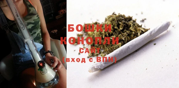 бутират Богданович