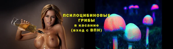 прущий лед Богородск