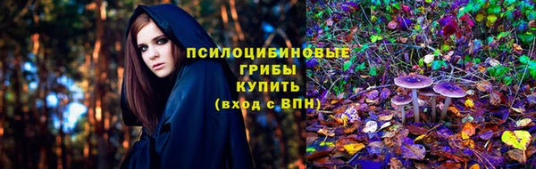 не бодяженный Богородицк