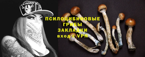 прущий лед Богородск