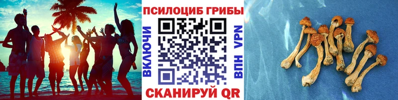 Псилоцибиновые грибы GOLDEN TEACHER  shop официальный сайт  Нариманов 