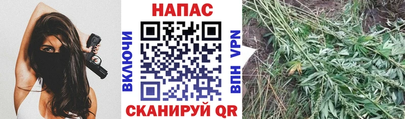 Конопля OG Kush  mega ONION  Нариманов 